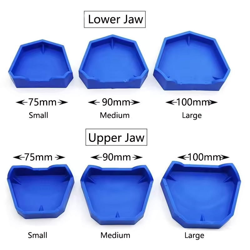 2/6 Stuks Tandheelkundige Mode - Teeth Whitening Tray recensie en prijs
