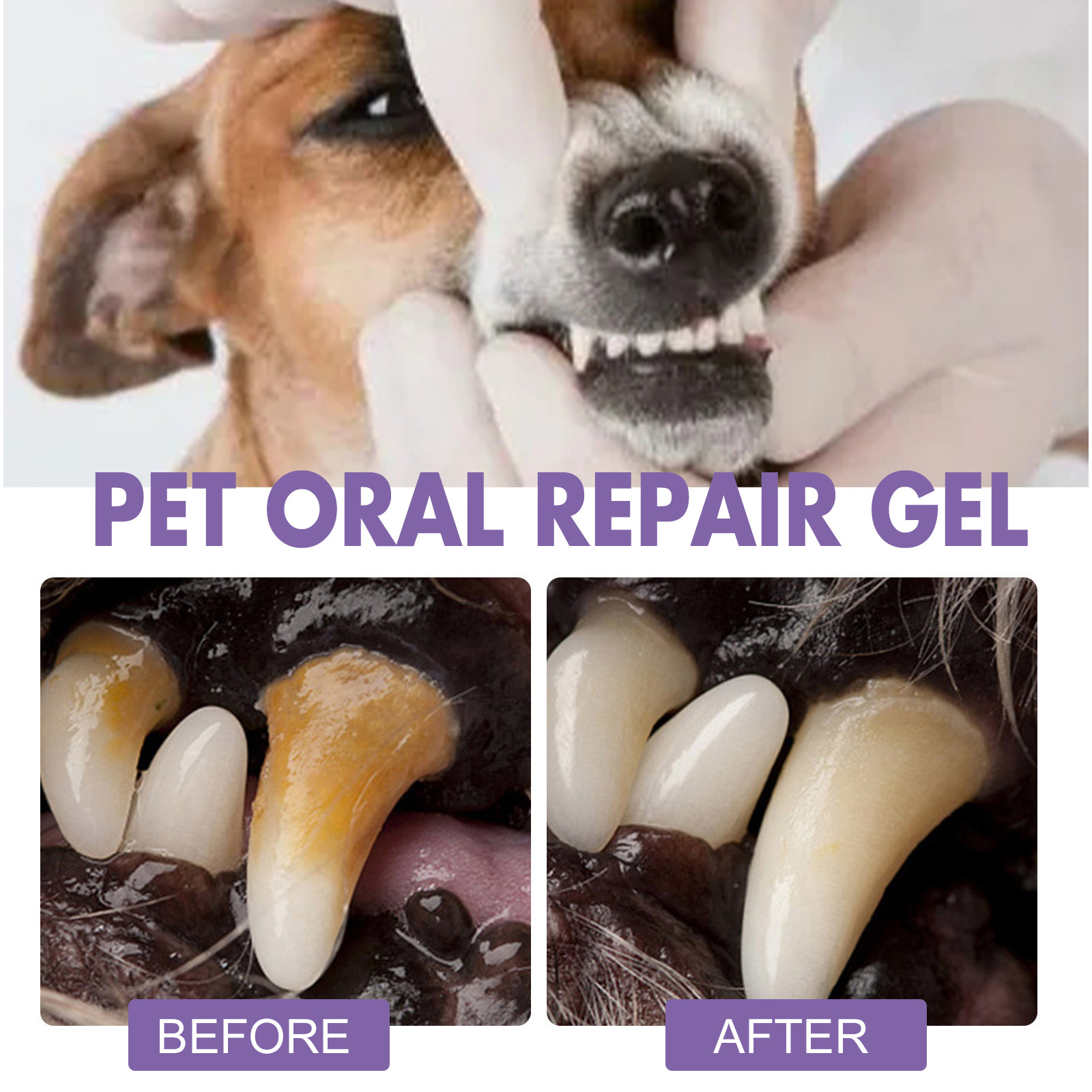 Huisdier Orale Reparatie Gel P - Teeth Whitening Session recensie en prijs